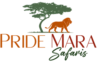 Pride Mara Safaris